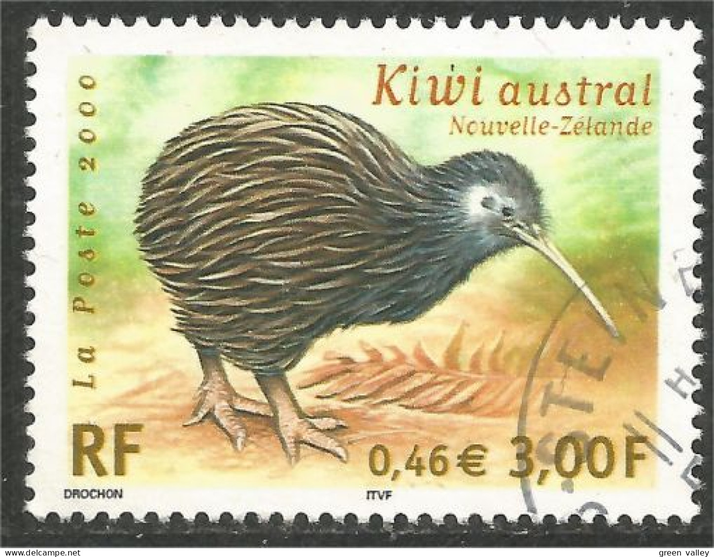 331eu-32 France Kiwi Austral Oiseau Bird Vogel Uccello - Kiwi's