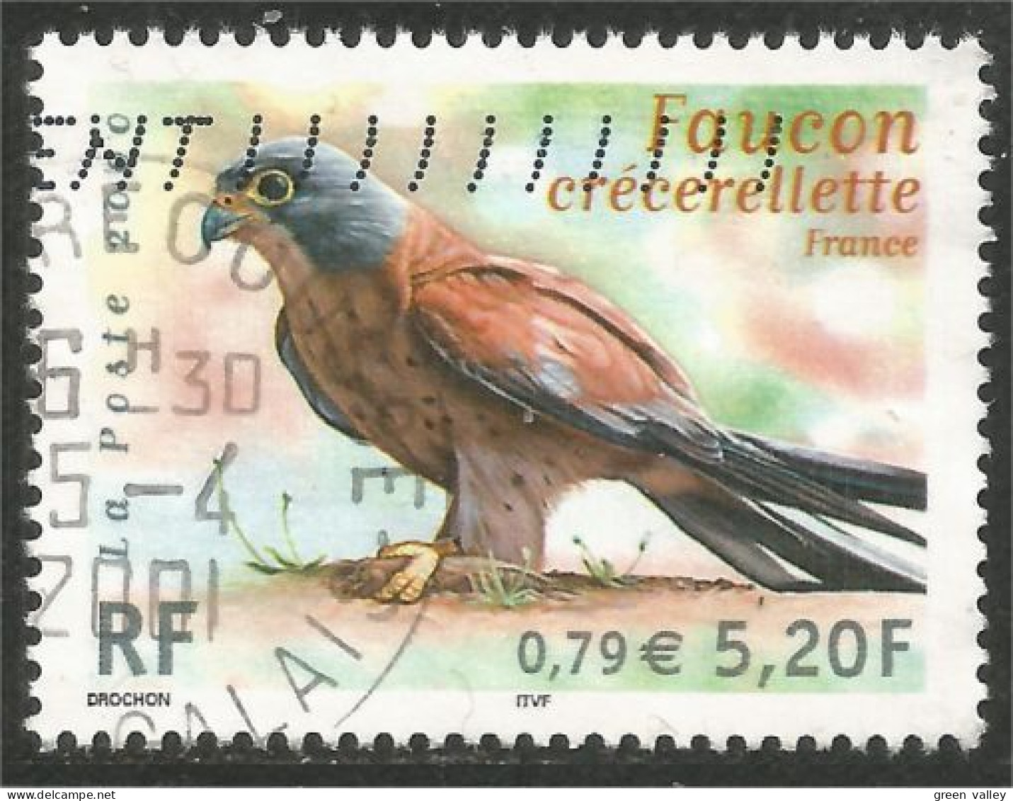 331eu-33 France Crécerellette Turmfalke Kestrel Torenvalk Gheppio Cernícalo - Aigles & Rapaces Diurnes