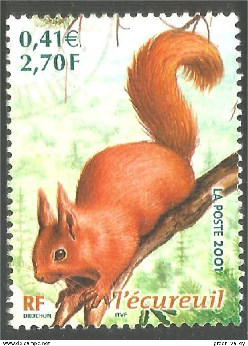 331eu-19 France Écureuil Squirrel Eekhoorn Eichhörnchen Ardilla Scoiattolo - Knaagdieren