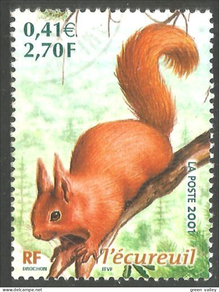 331eu-21 France Écureuil Squirrel Eekhoorn Eichhörnchen Ardilla Scoiattolo - Other & Unclassified