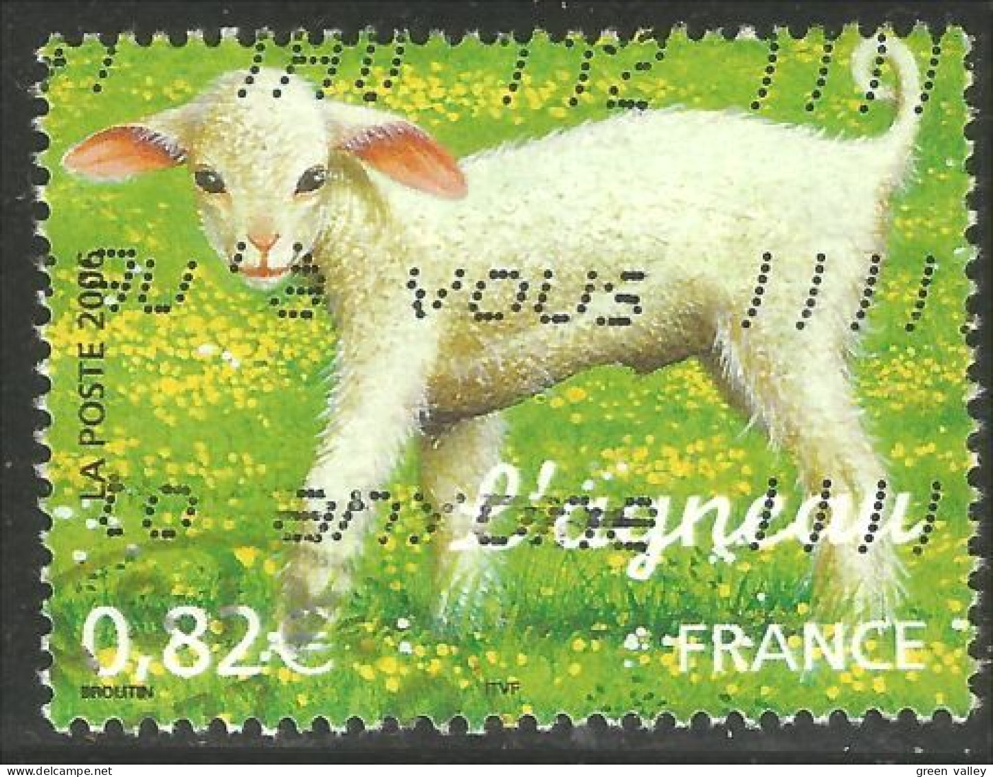 331eu-11 France Mouton Agneau Lamb Schapen Pecora Oveja Sheep Agnello Schaap Lam Lamm Cordero - Other & Unclassified