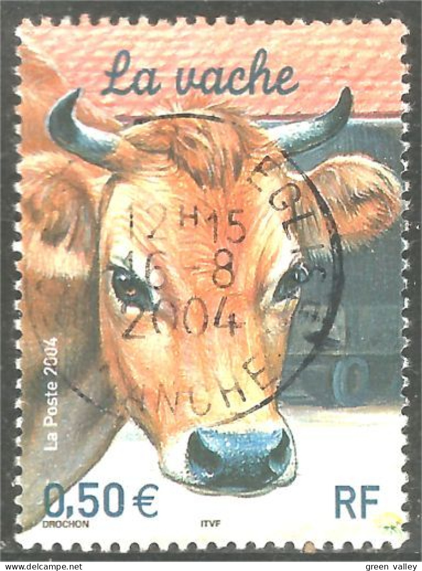 331eu-1 France Vache Cow Kuh Koe Mucca Vacca Vaca - Vaches