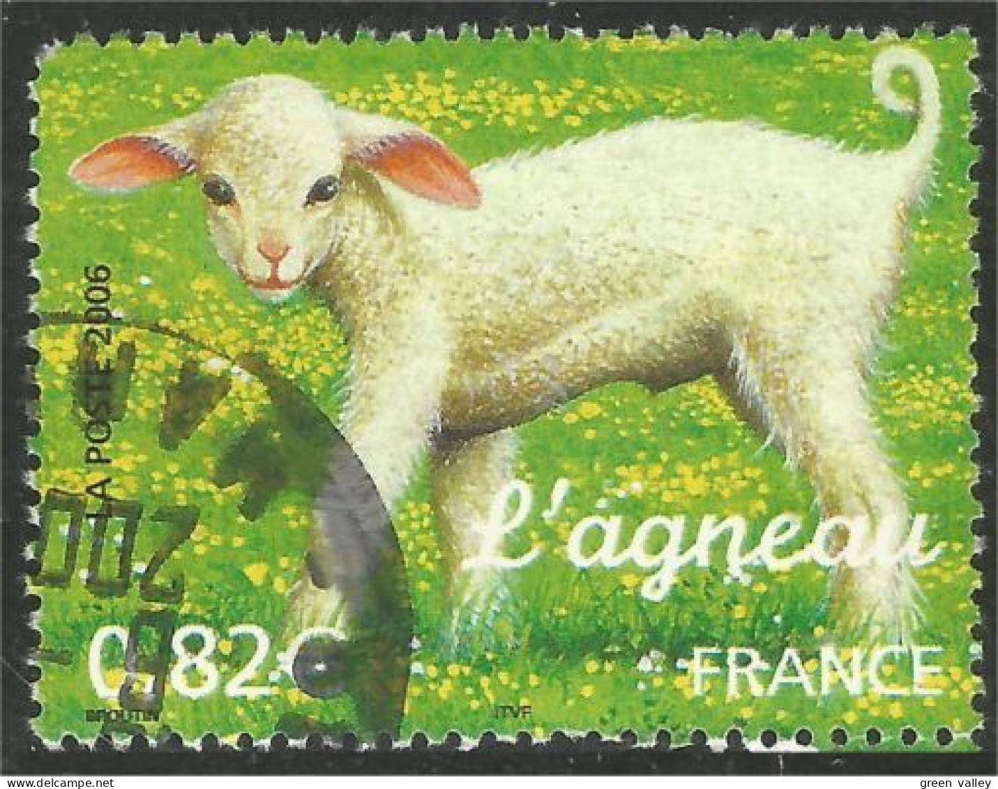 331eu-9 France Mouton Agneau Lamb Schapen Pecora Oveja Sheep Agnello Schaap Lam Lamm Cordero - Landbouw