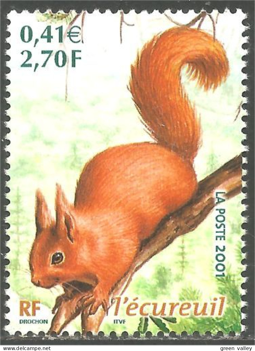 331ng-8 France Écureuil Squirrel Eekhoorn Eichhörnchen Ardilla Scoiattolo Sans Gomme - Otros & Sin Clasificación