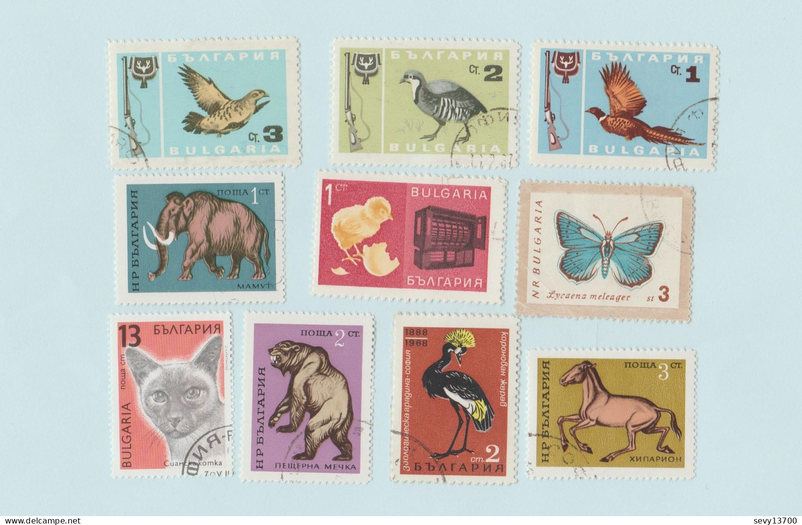 Bulgarie - Lot 22 Timbres Animaux - Oiseaux, Papillons, Chiens, Cheval, Chat, Ours, Poule, Cochon, Mouton, Insectes - Collections, Lots & Séries