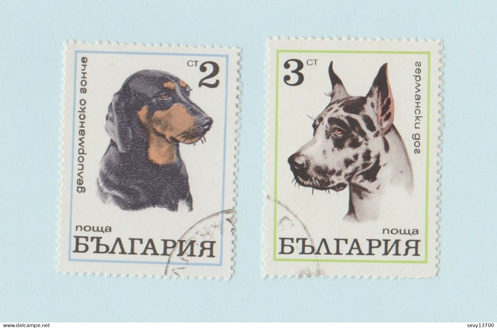 Bulgarie - Lot 22 Timbres Animaux - Oiseaux, Papillons, Chiens, Cheval, Chat, Ours, Poule, Cochon, Mouton, Insectes - Collezioni & Lotti