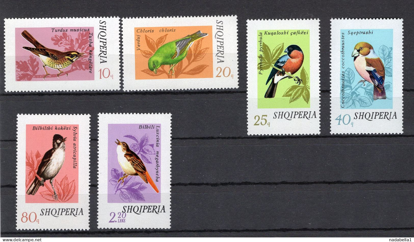 1974. ALBANIA,BIRDS,SET OF 6 STAMPS,MNH - Albanie