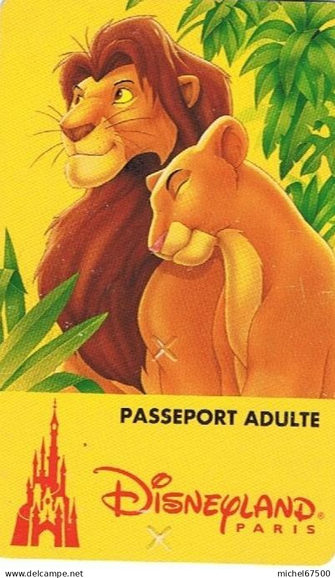 6 Passeports Disneyland (4 Différents Pour Collectionneur) - Autres & Non Classés
