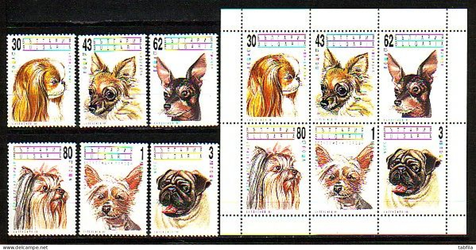 BULGARIA - 1991 - Chiens D'agrement - 6v + Bl MNH - Nuovi