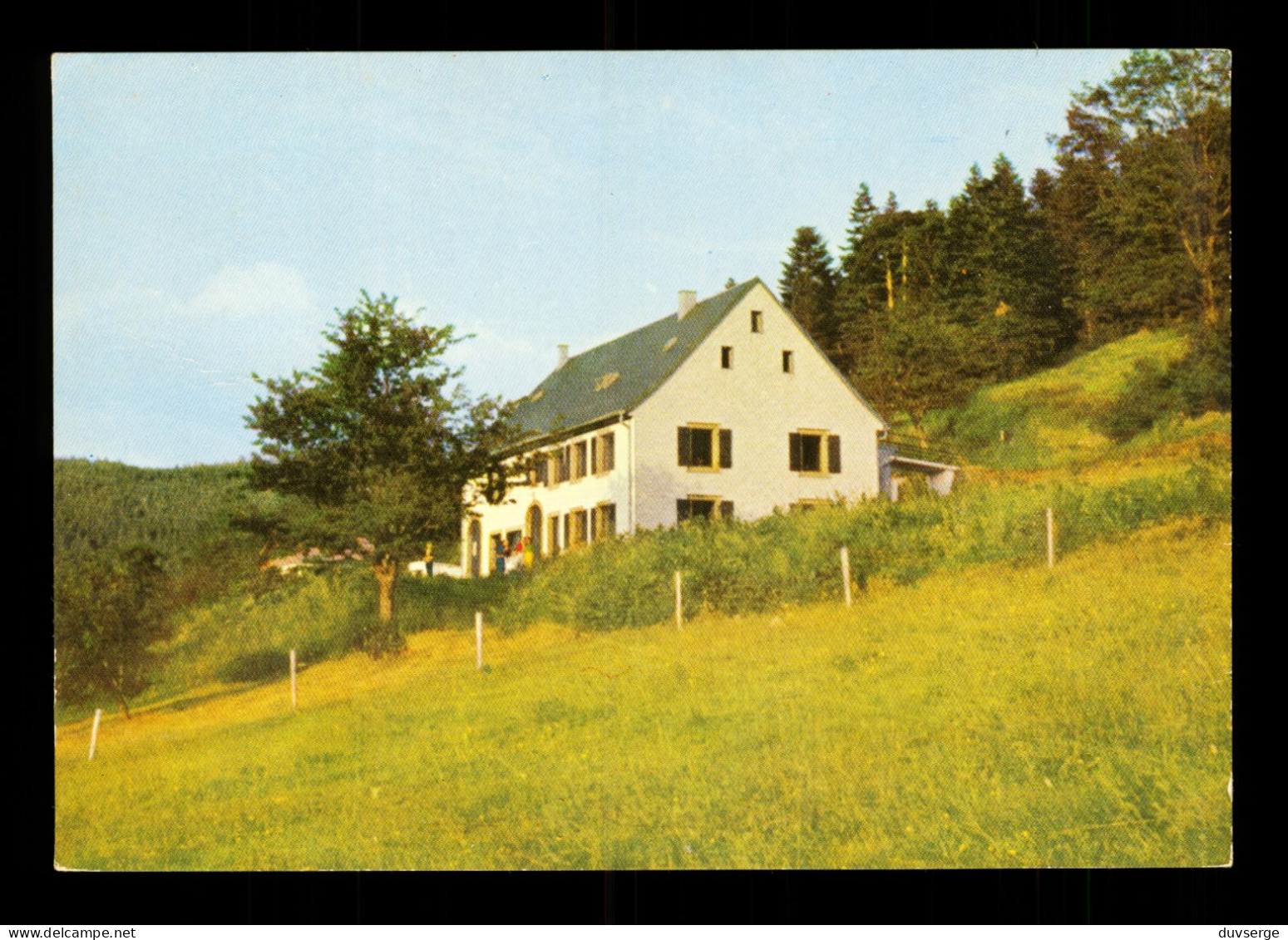 68 Haut Rhin Orbey Le Linge"  Le Petit Bois " Foyer De Jeunes - Orbey