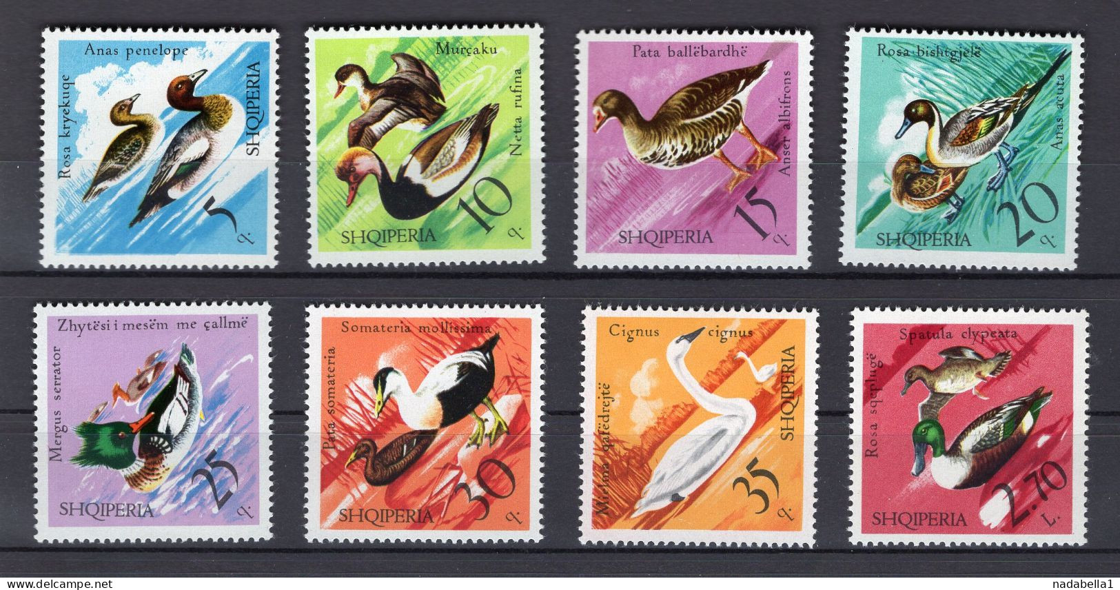 1975. ALBANIA,DUCKS,SET OF 8 STAMPS,MNH - Albania