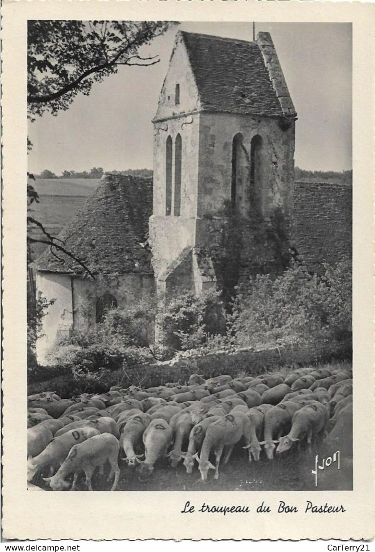 LE TROUPEAU DU BON PASTEUR. MOUTONS. ECRITE A CHARLEVILLE. 1947. - Crías