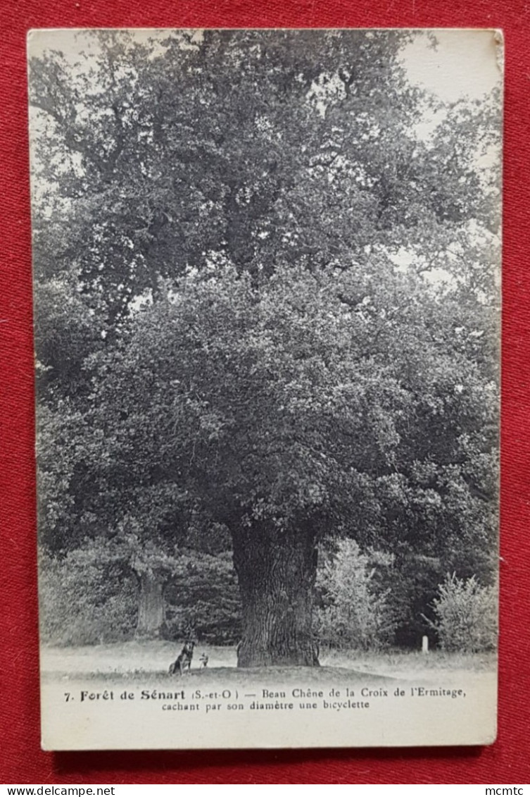 CPA - Forêt De Sénart  -(S.-et-O) - Beau Chêne De La Croix De L'Ermitage Cachant Par Son Diamètre Une Bicyclette (arbre) - Sénart