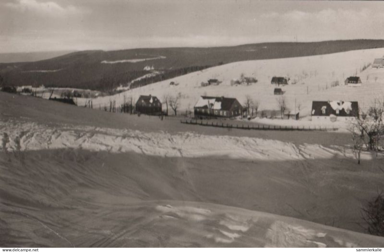 46542 - Altenberg-Schellerhau - 1958 - Schellerhau