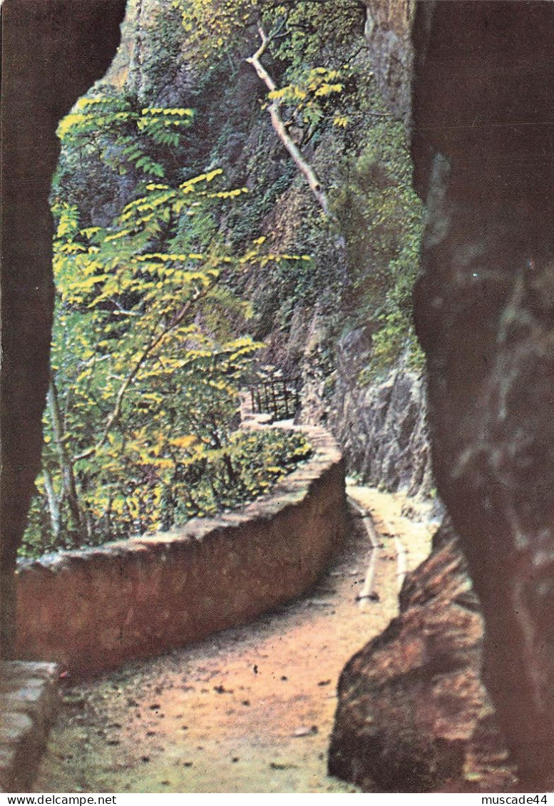 AMELIE LES BAINS - GORGES DU MONDONY - PASSAGE DU CASTELLANE - Amélie-les-Bains-Palalda