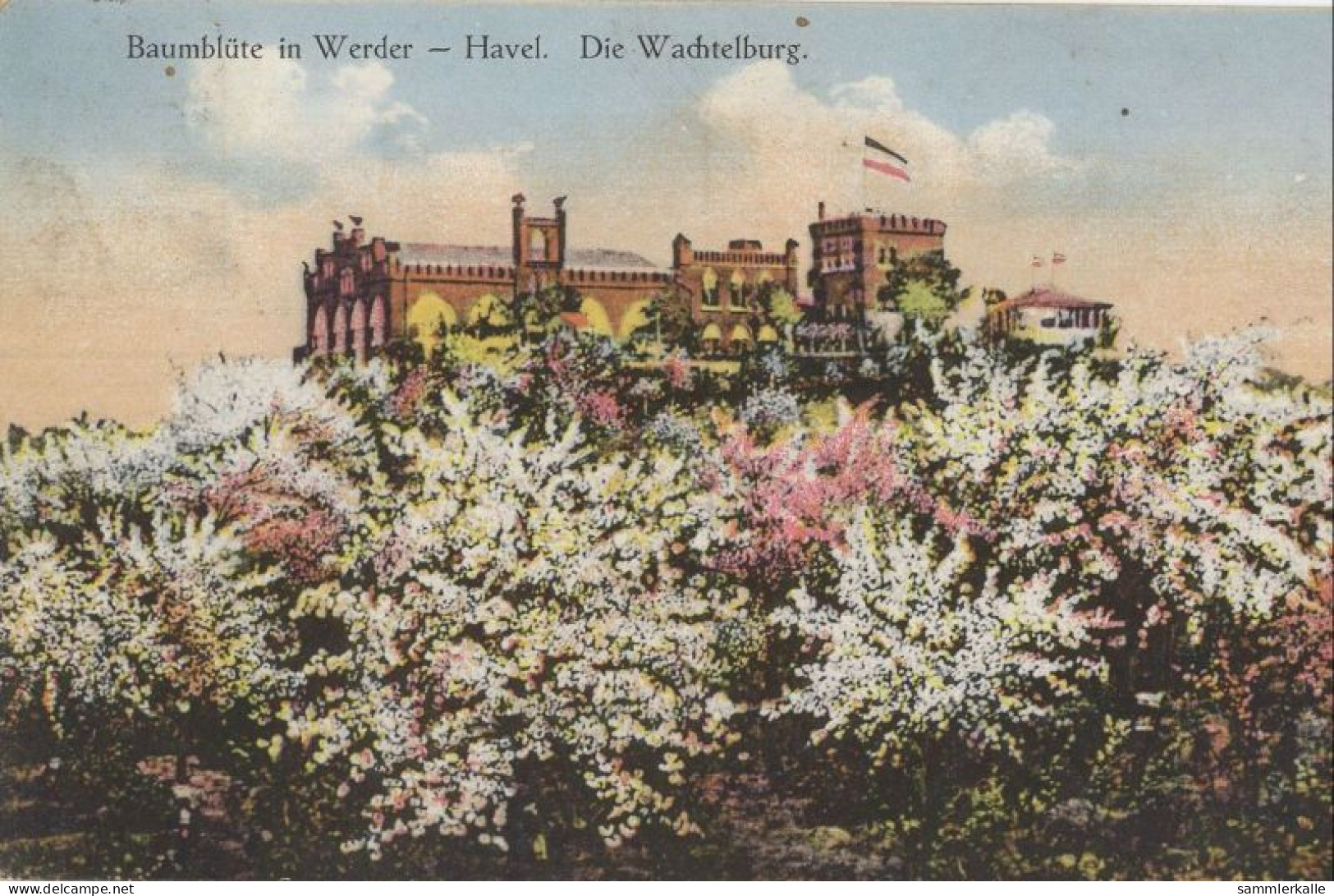 127855 - Werder - Wachtelburg - Baumblüte - Werder