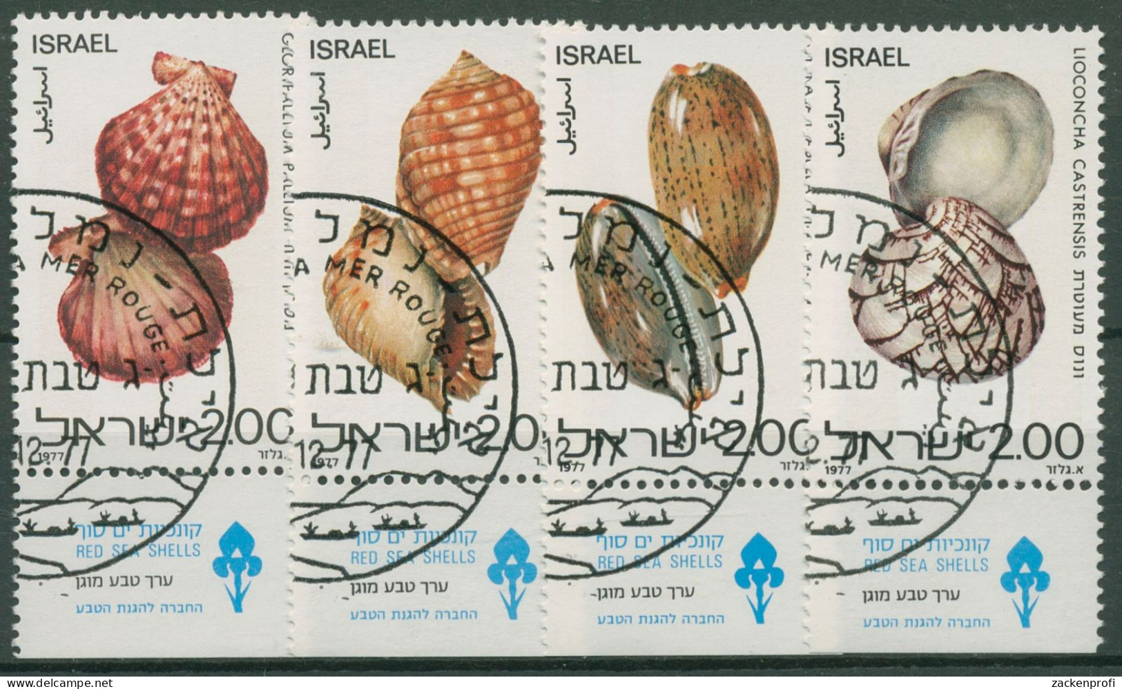 Israel 1977 Tiere Rotes Meer Muscheln Schnecken 726/29 Ecken Mit Tab Gestempelt - Usados (con Tab)