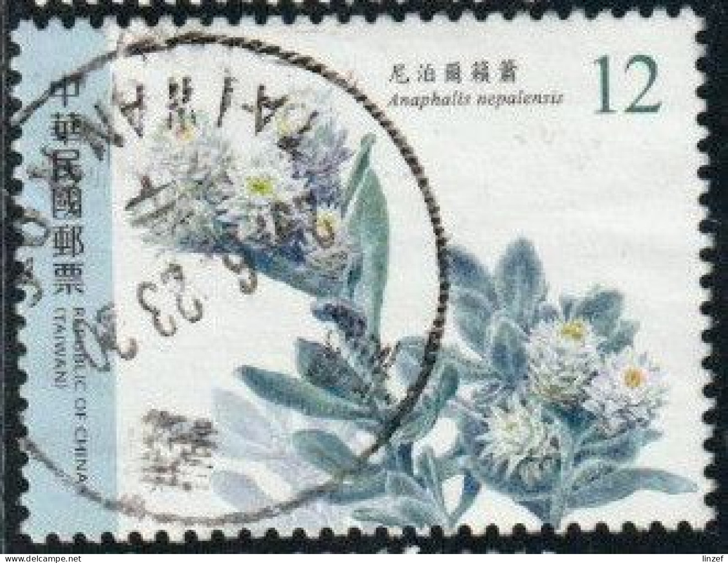 Taïwan 2023 Yv. N°4245 -  Anaphalis Nepalensis - Oblitéré - Used Stamps