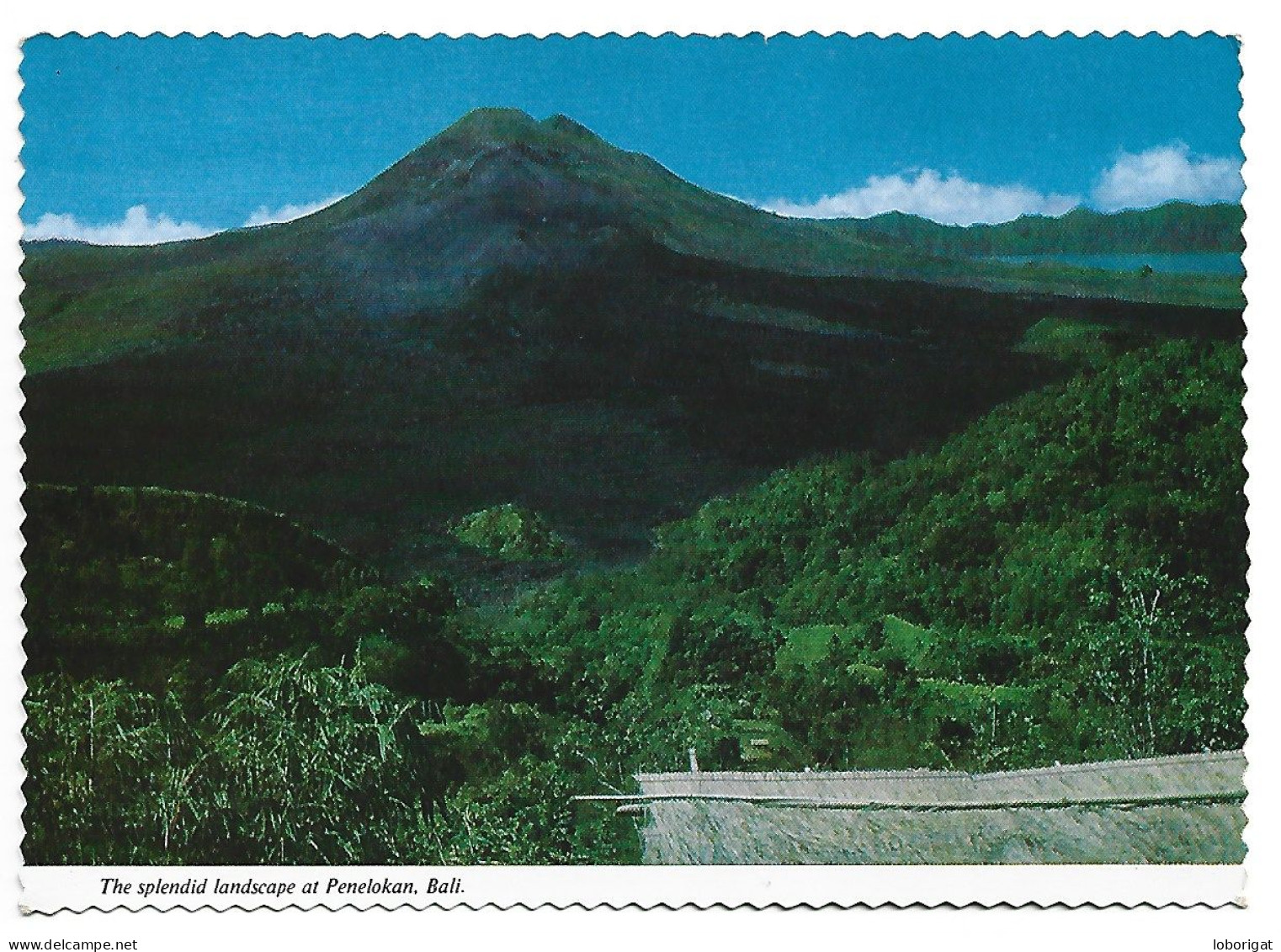 THE ACTIVE VOLCANO, MT. BATUR.- THE SPLENDID LANDSCAPE AT PENELOKAN.- BALI.- ( INDONESIA ) - Indonesië