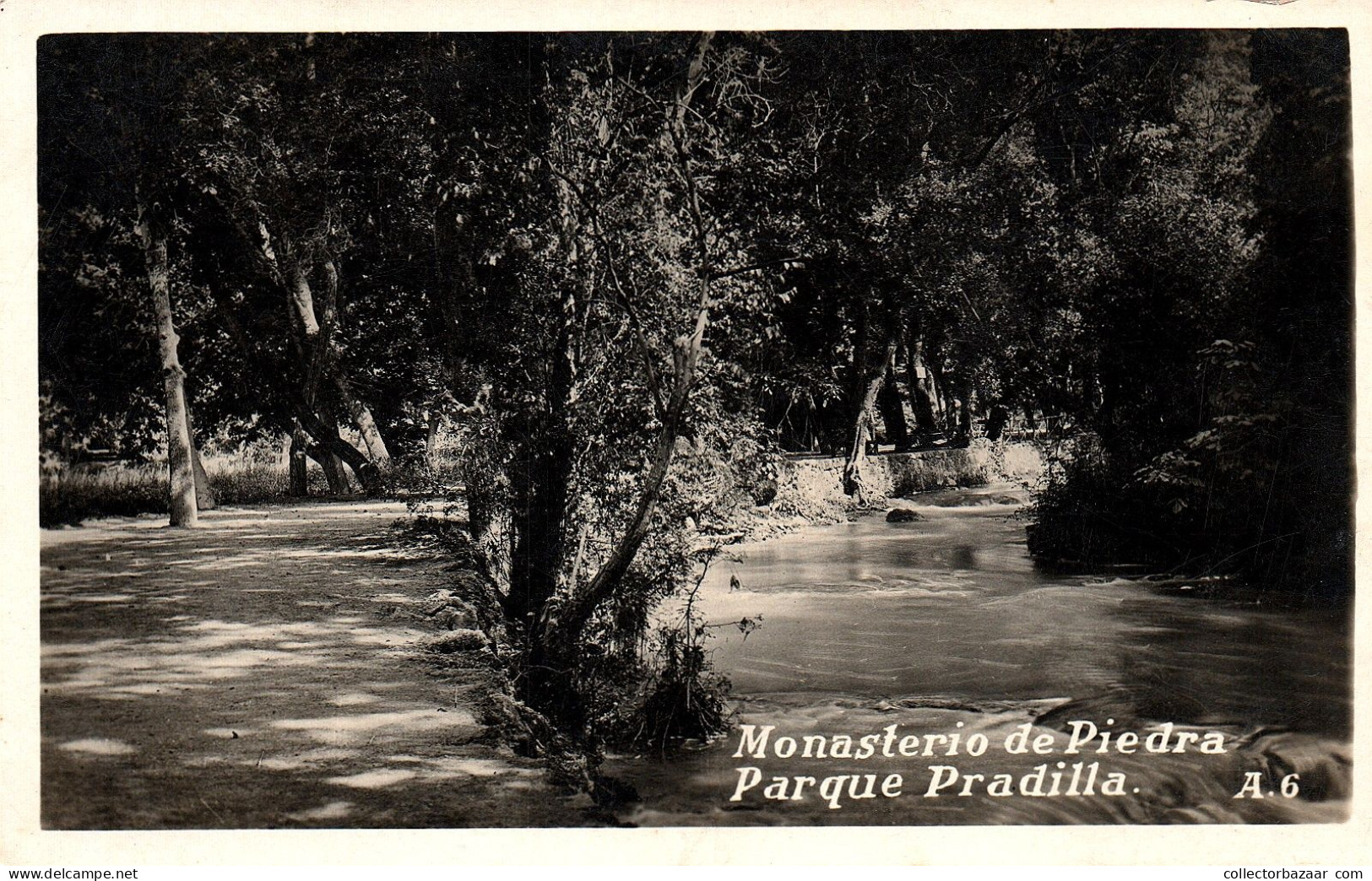 Monasterio De Piedra Parque Pradilla Real Photo  España - Zaragoza