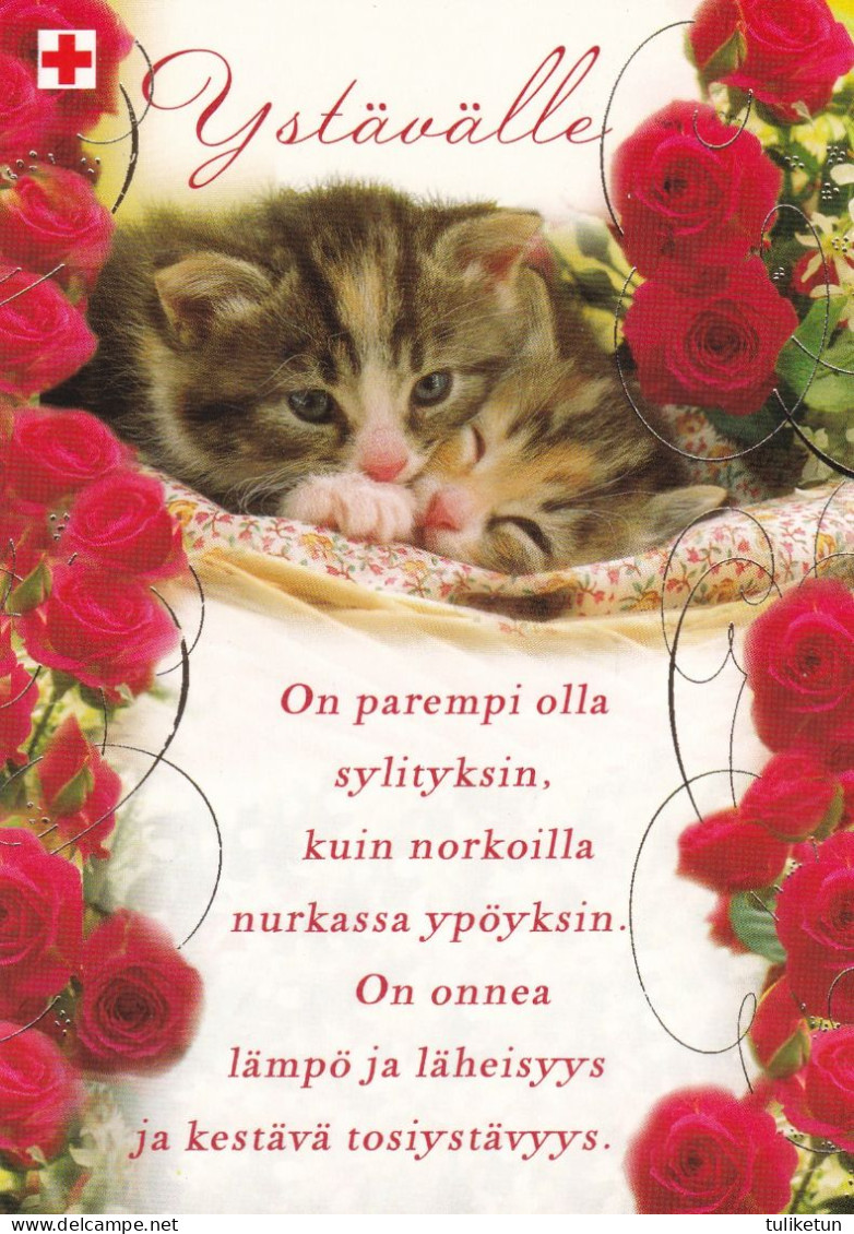 Postal Stationery - Cats - Kittens - Flowers - Roses - Red Cross 2005 - Suomi Finland - Postage Payed - Enteros Postales