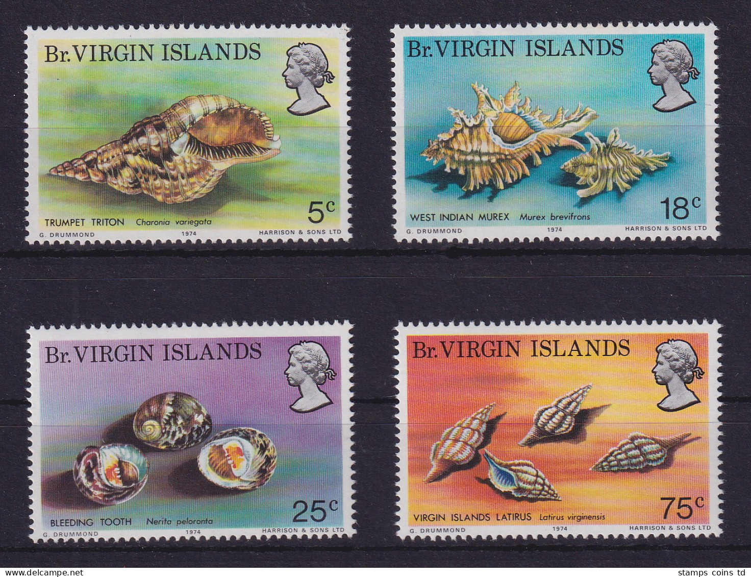 Virgin Islands 1974 Meeresschnecken Mi.-Nr. 274-277 Postfrisch ** - Britse Maagdeneilanden