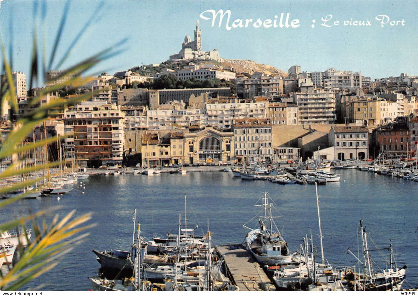 13 MARSEILLE  Le Vieux Port     (Scan R/V) N°   22   \OA1035 - Vieux Port, Saint Victor, Le Panier