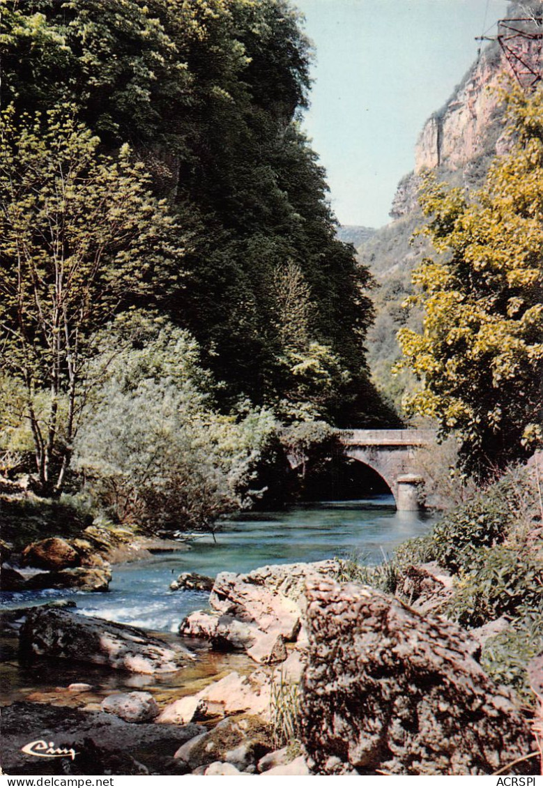 01 Hauteville-Lompnes  Un Coin De L'Albanire TENAY   (Scan R/V) N°   34   \OA1044 - Hauteville-Lompnes