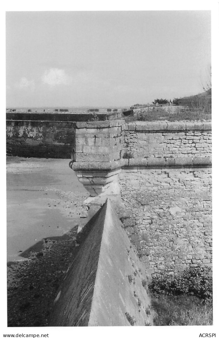 17 SAINT MARTIN DE Ré Photo 1985  Les Douves (Scan R/V) N°   44   \OA1042 - Saint-Martin-de-Ré