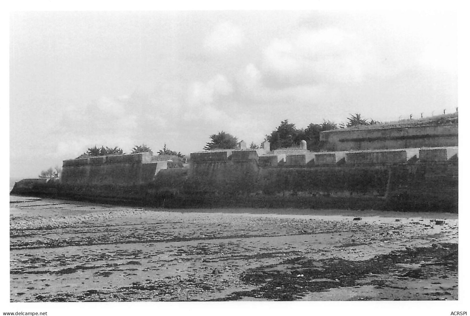 17 SAINT MARTIN DE Ré Photo 1985  Les Remparts à Marée Basse  (Scan R/V) N°   34   \OA1042 - Saint-Martin-de-Ré