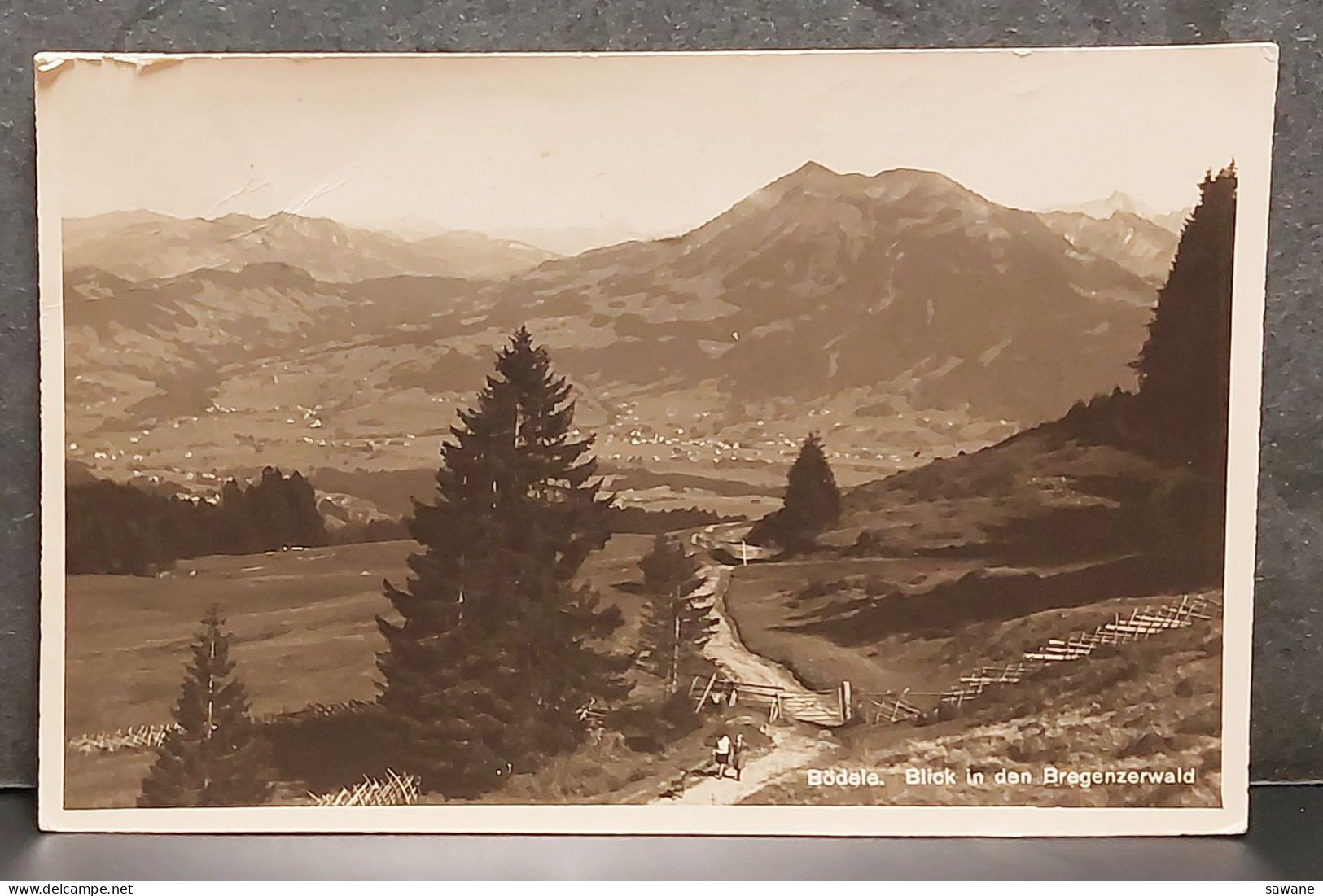 AUTRICHE , BODELE , BLICK IN DEN BREGENZERWALD , ALPENHOTEL , LOT 315 AA - Dornbirn