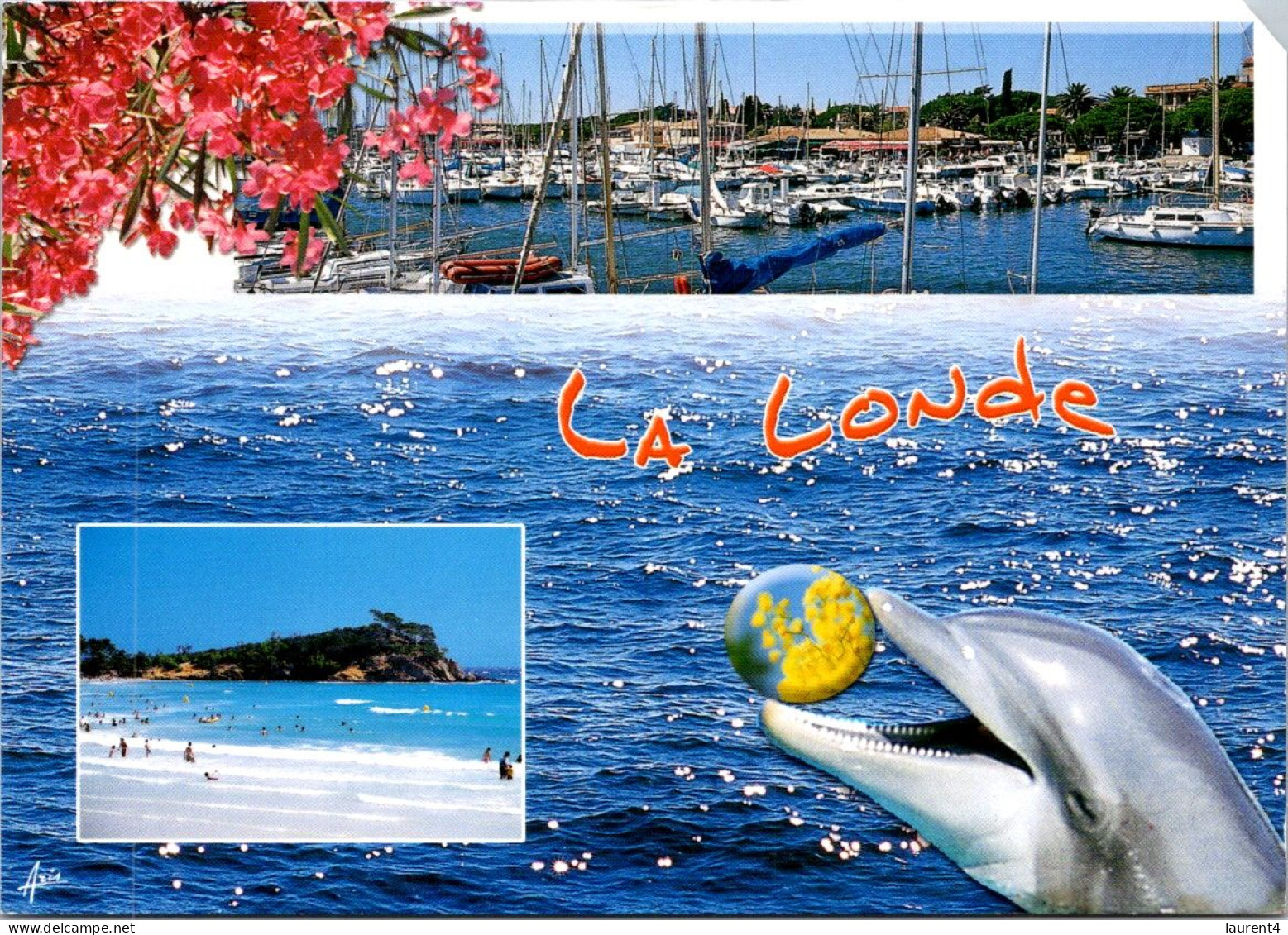 9-4-2024 (1 Z 26) France -  Dolphin / Dauphin - Dolfijnen