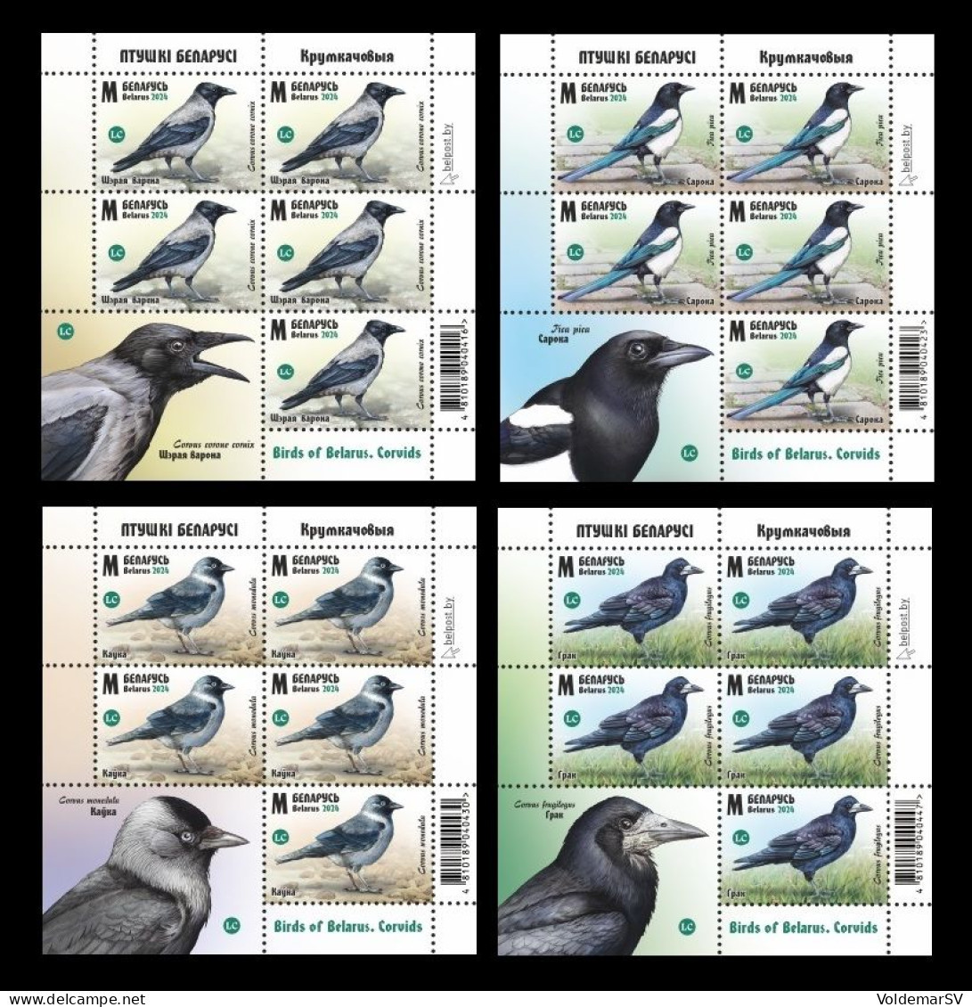 Belarus 2024 Mih. 1557/60 Fauna. Birds. Crows (4 M/S) MNH ** - Belarus