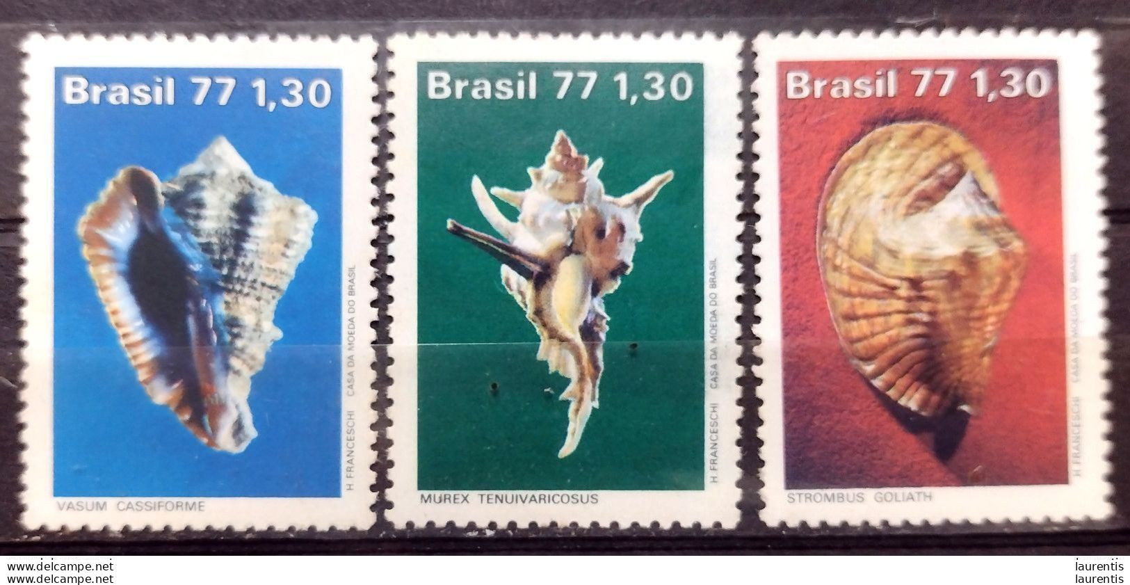 D2599  Shells - Coquillages - Brasil 1977 - MNH - 1,75 (20-270) - Muscheln