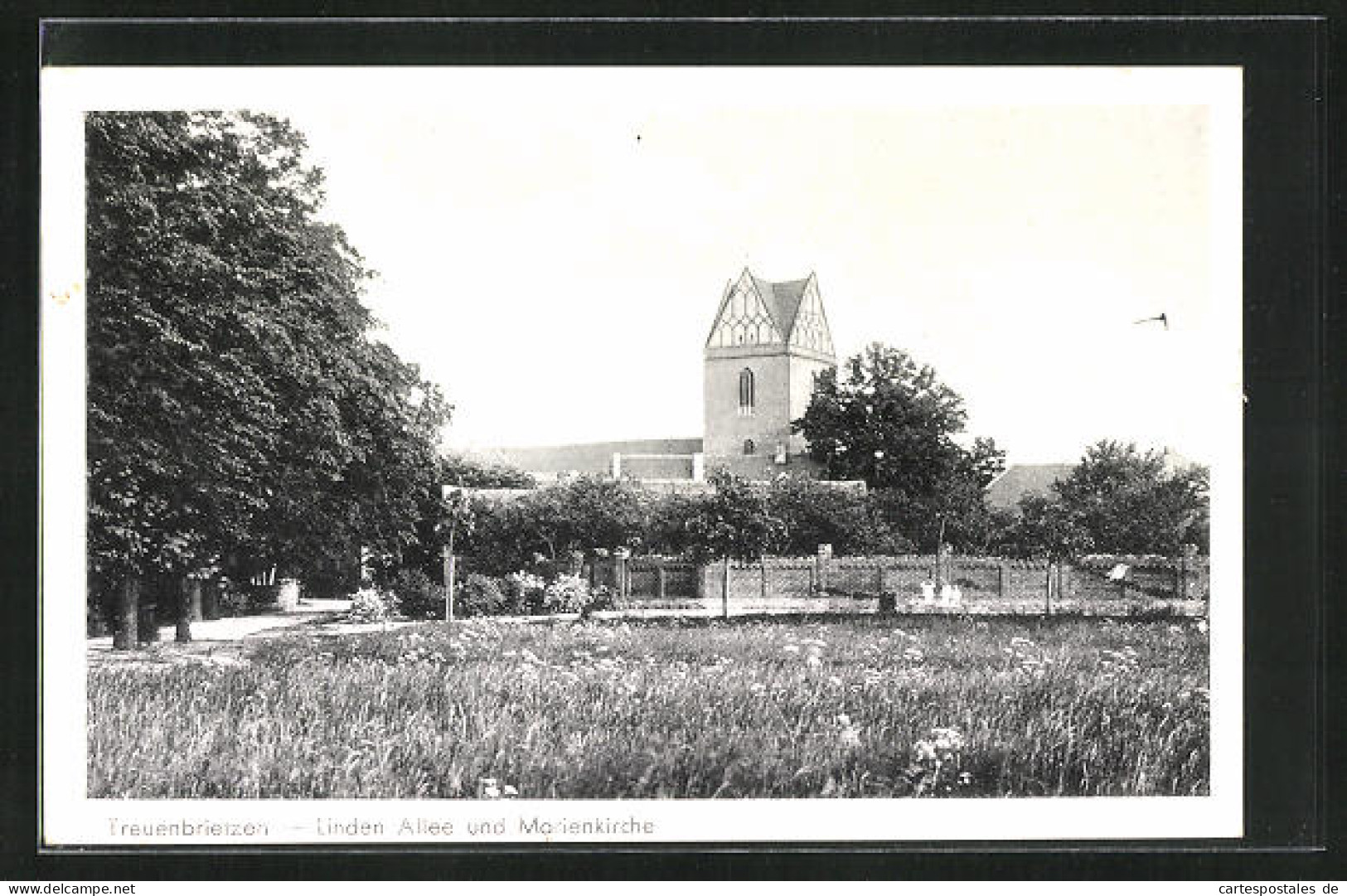 AK Treuenbrietzen, Linden-Allee Und Marienkirche  - Treuenbrietzen