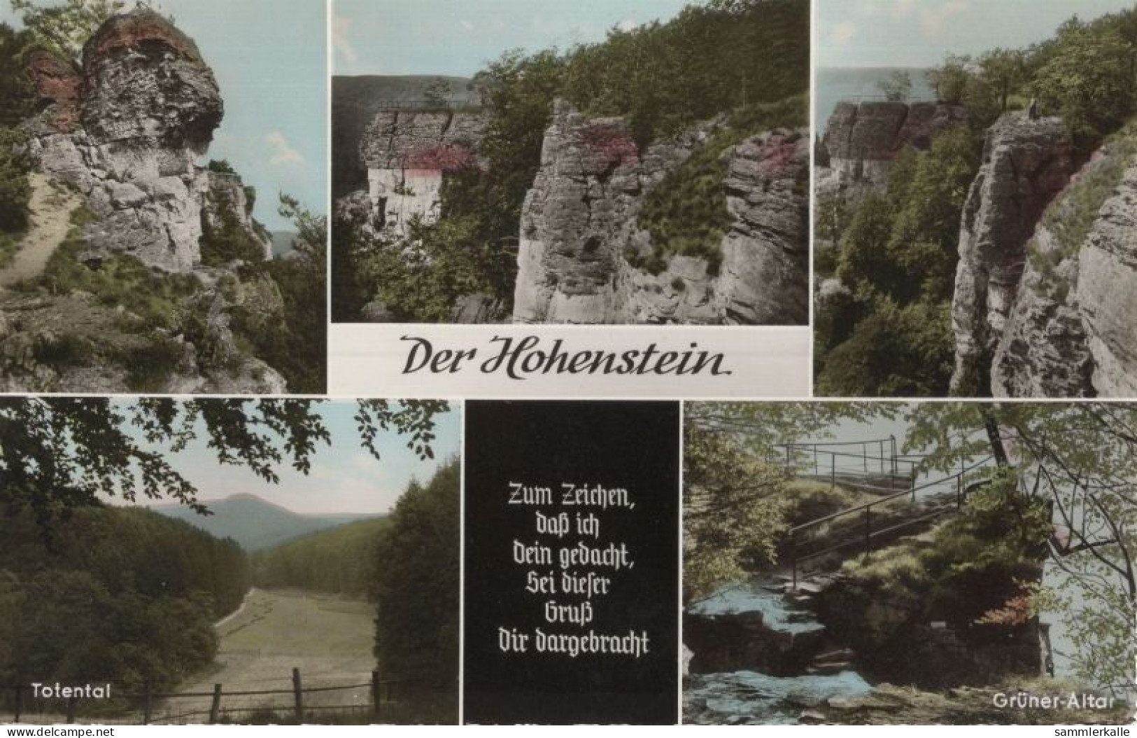 131701 - Hohnstein - 5 Bilder - Hohnstein (Sächs. Schweiz)