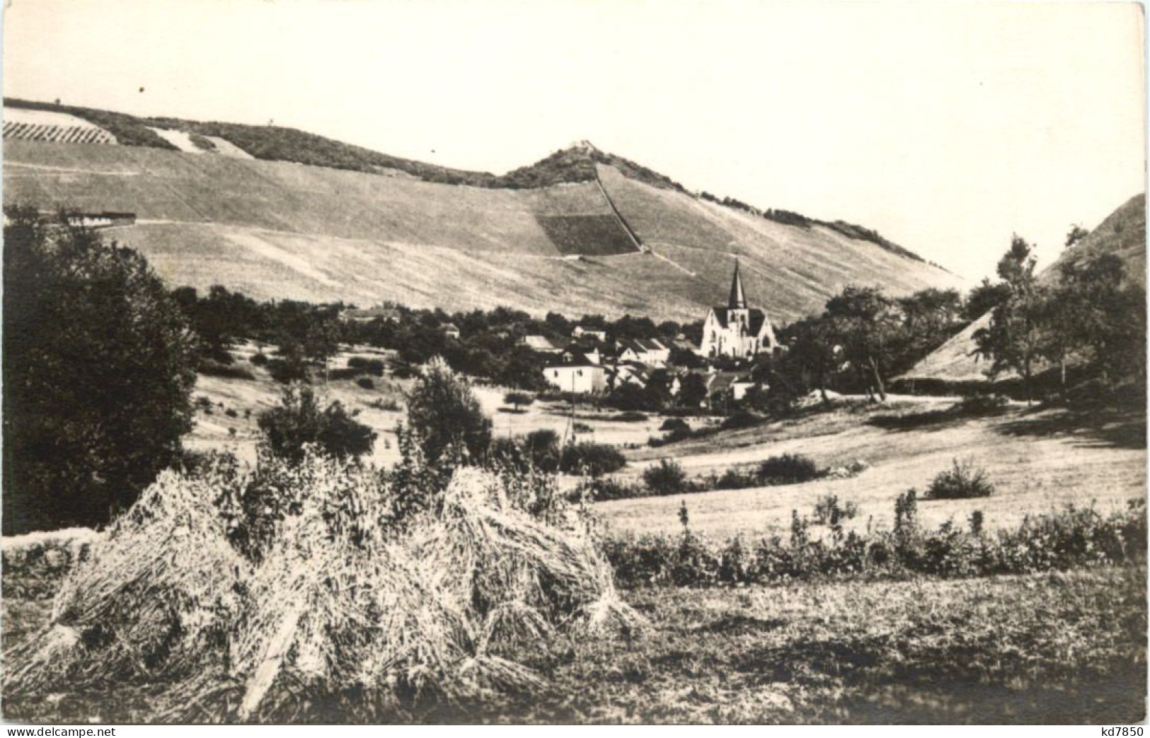 Weindorf Ockfen - Saarburg