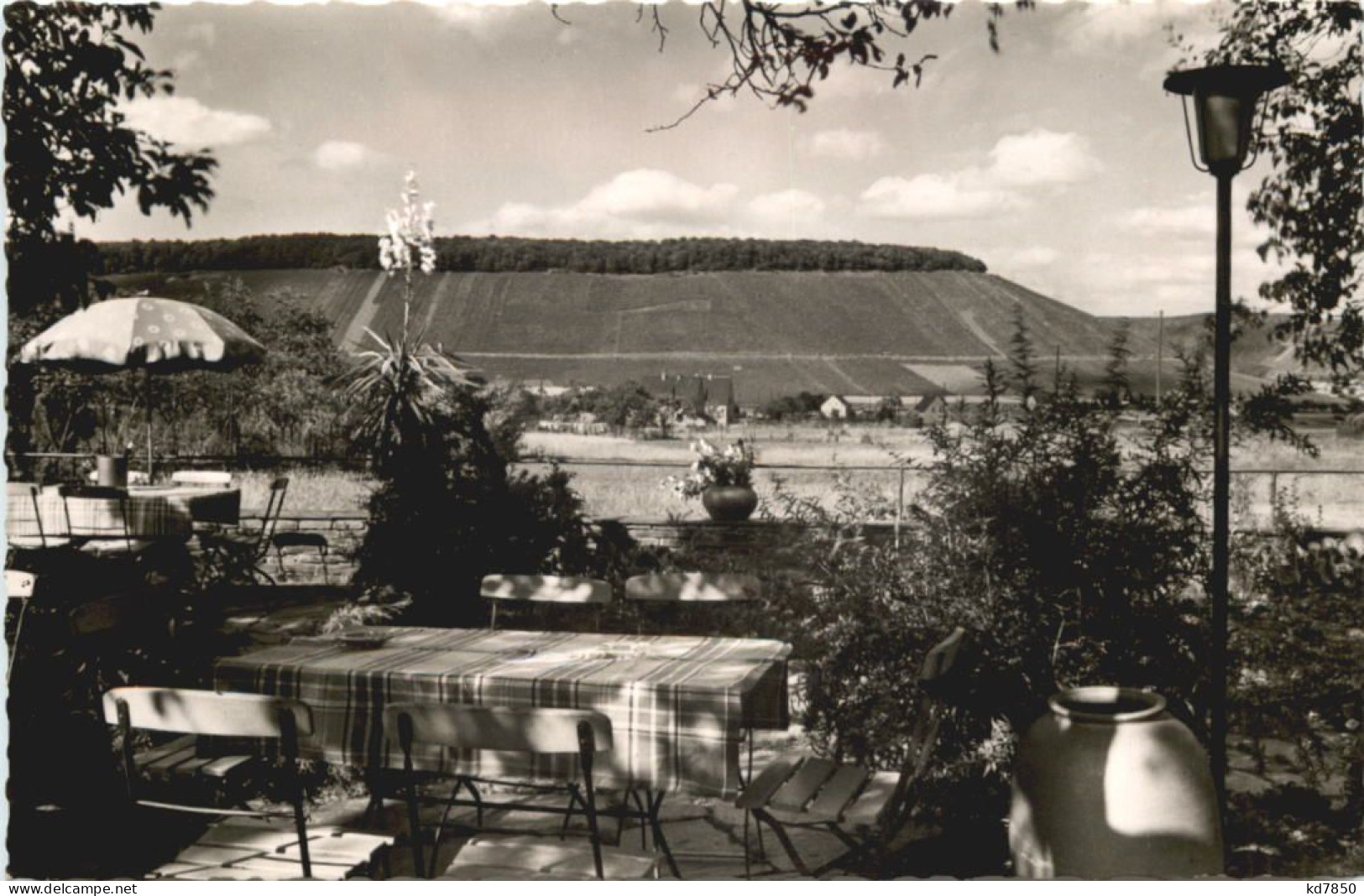 Ayl An Der Saar - Weinhaus Lauter - Saarburg