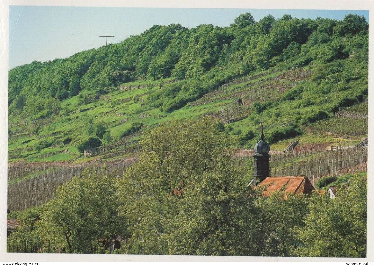134930 - Weinbau Mit Kirche - Sonstige