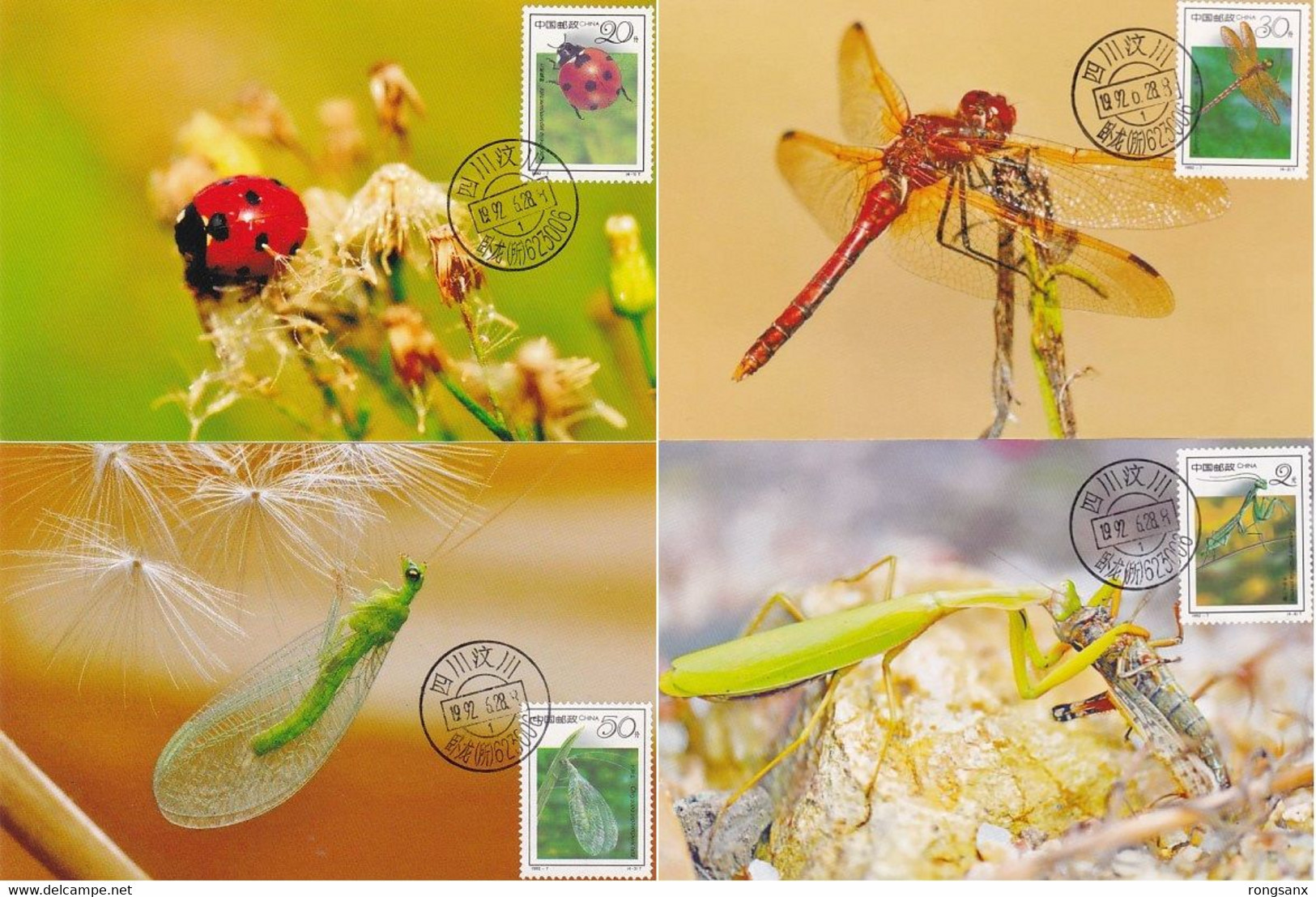 1992 CHINA 1992-7 INSECT LOCAL MC-S - Cartoline Maximum