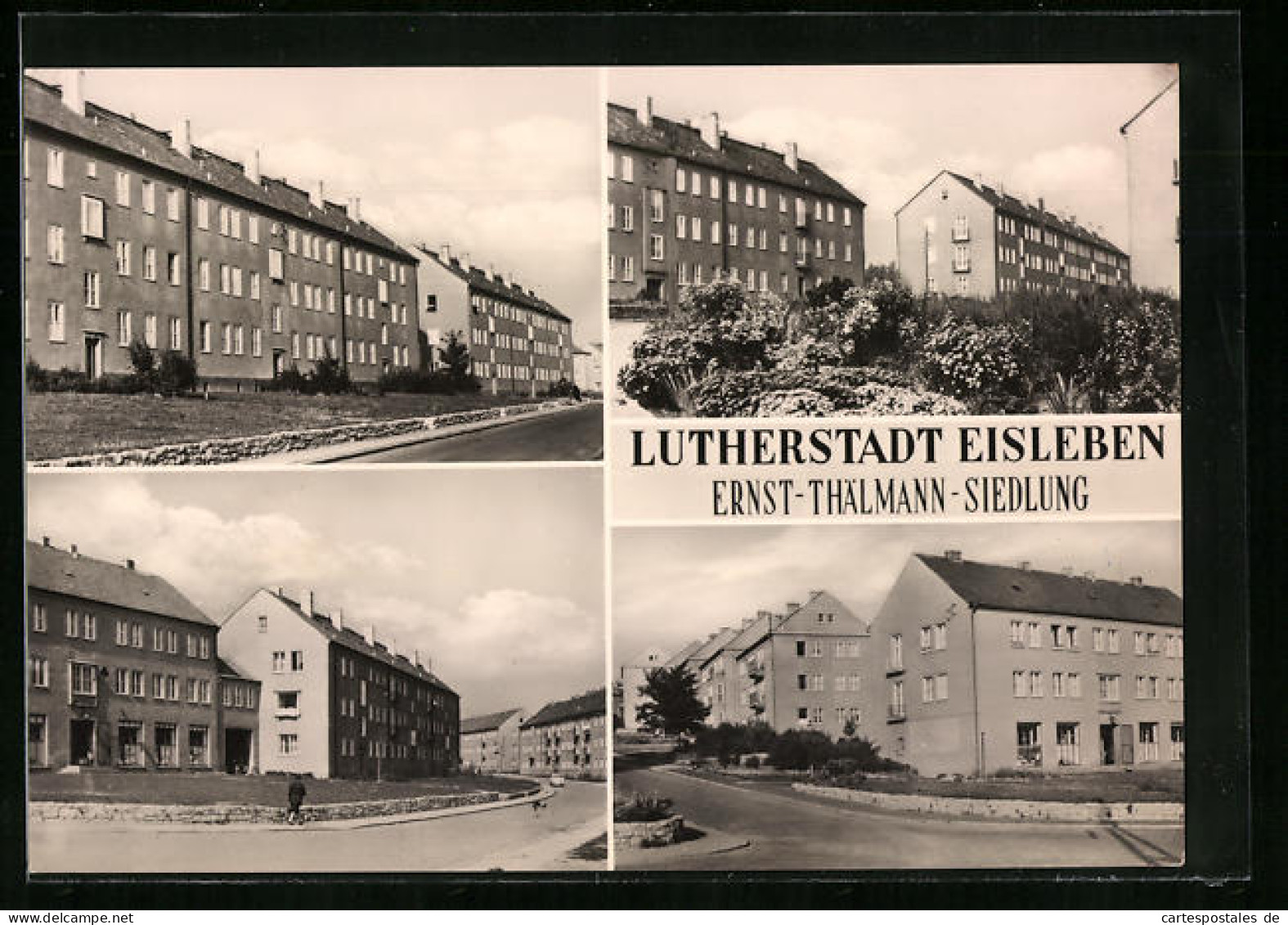 AK Eisleben, Ernst-Thälmann-Siedlung  - Lutherstadt Eisleben