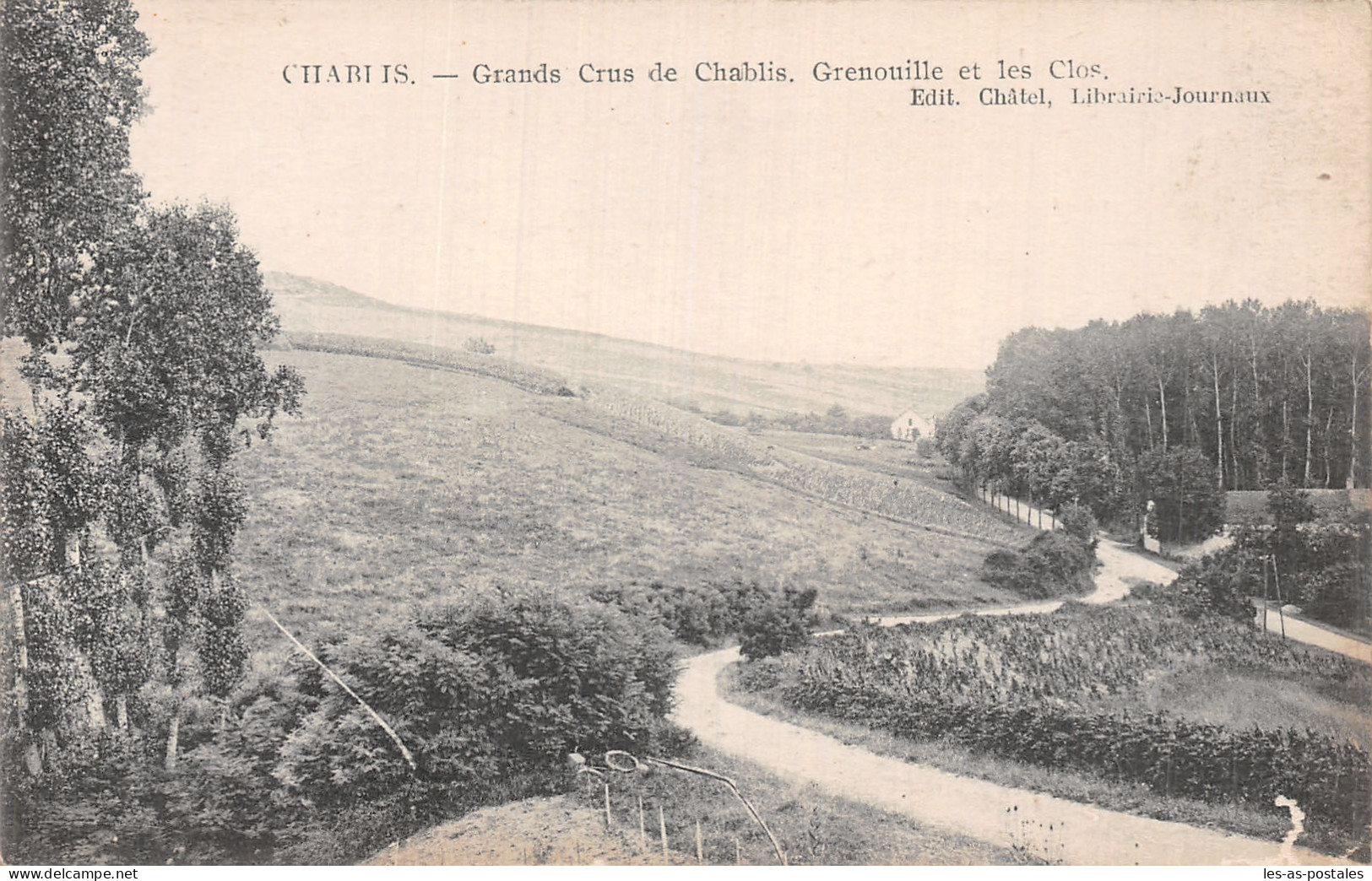 89 CHABLIS GRANDS CRUS - Chablis