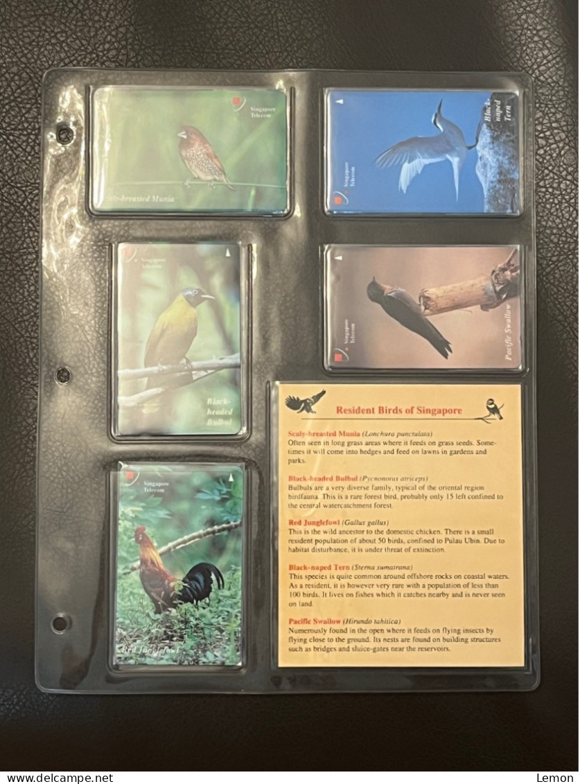 Mint Singapore Telecom Singtel GPT Phonecard In Original Holder, Resident Bird,Set Of 5 Mint Cards(Include One $50 Card) - Singapore