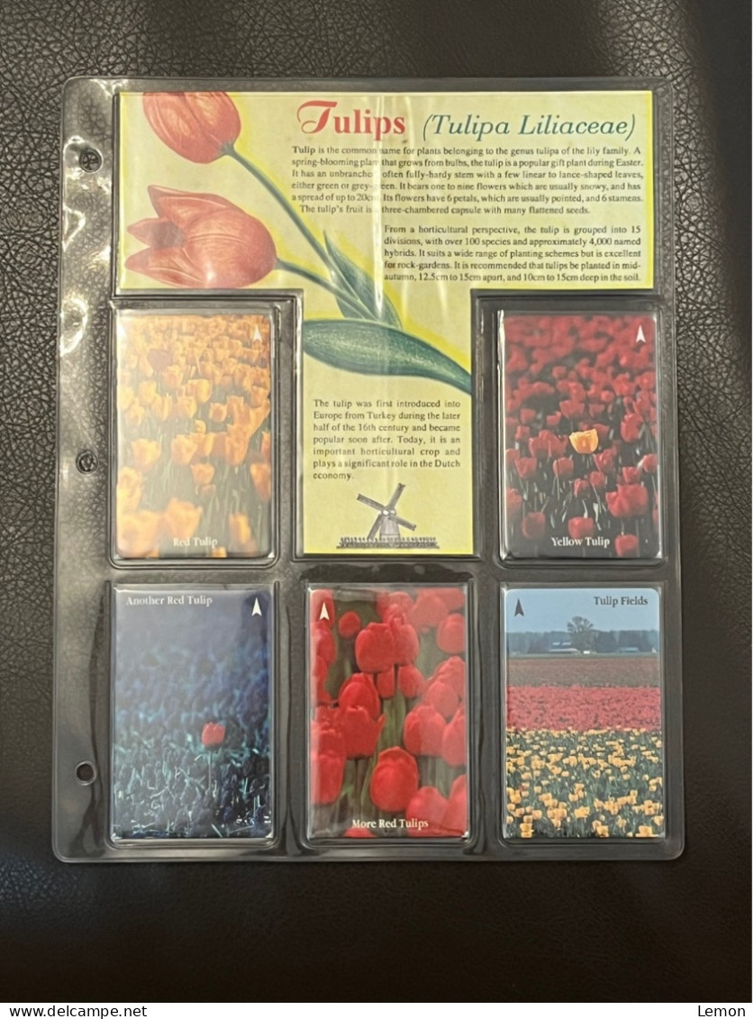 Mint Singapore Telecom Singtel GPT Phonecard In Original Holder, Tulips, Set Of 5 Mint Cards(Include One $50 Card) - Singapour