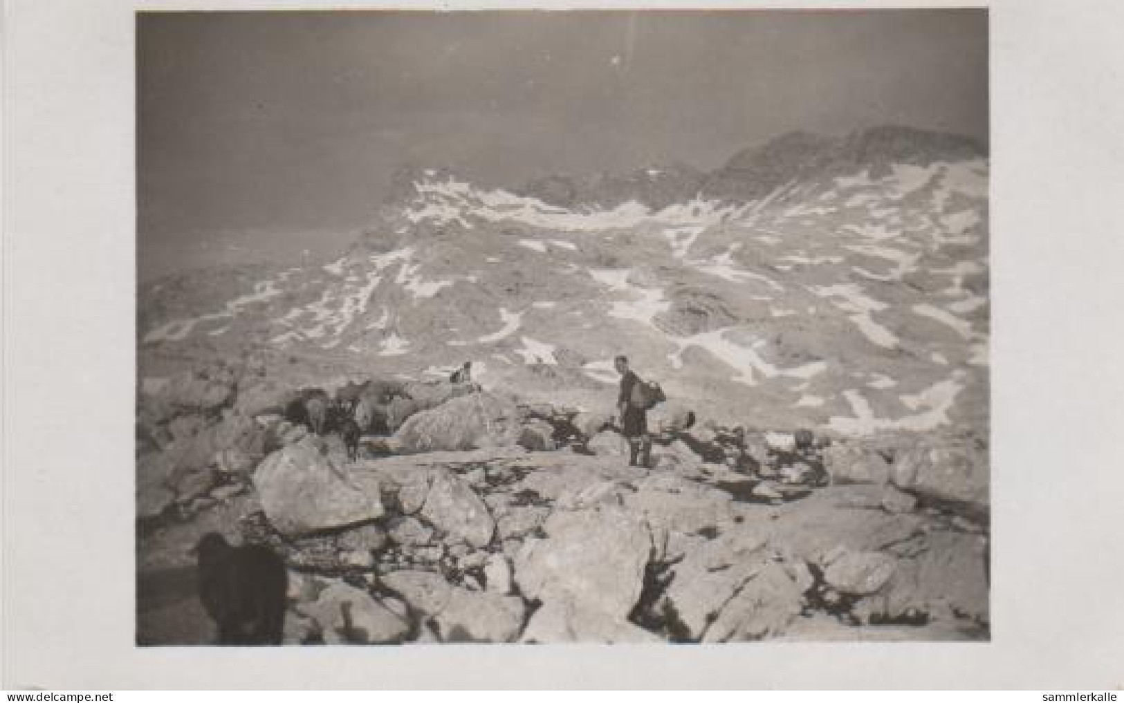 4962 - Bergwanderer In Weiter Landschaft - Ca. 1935 - Landkarten