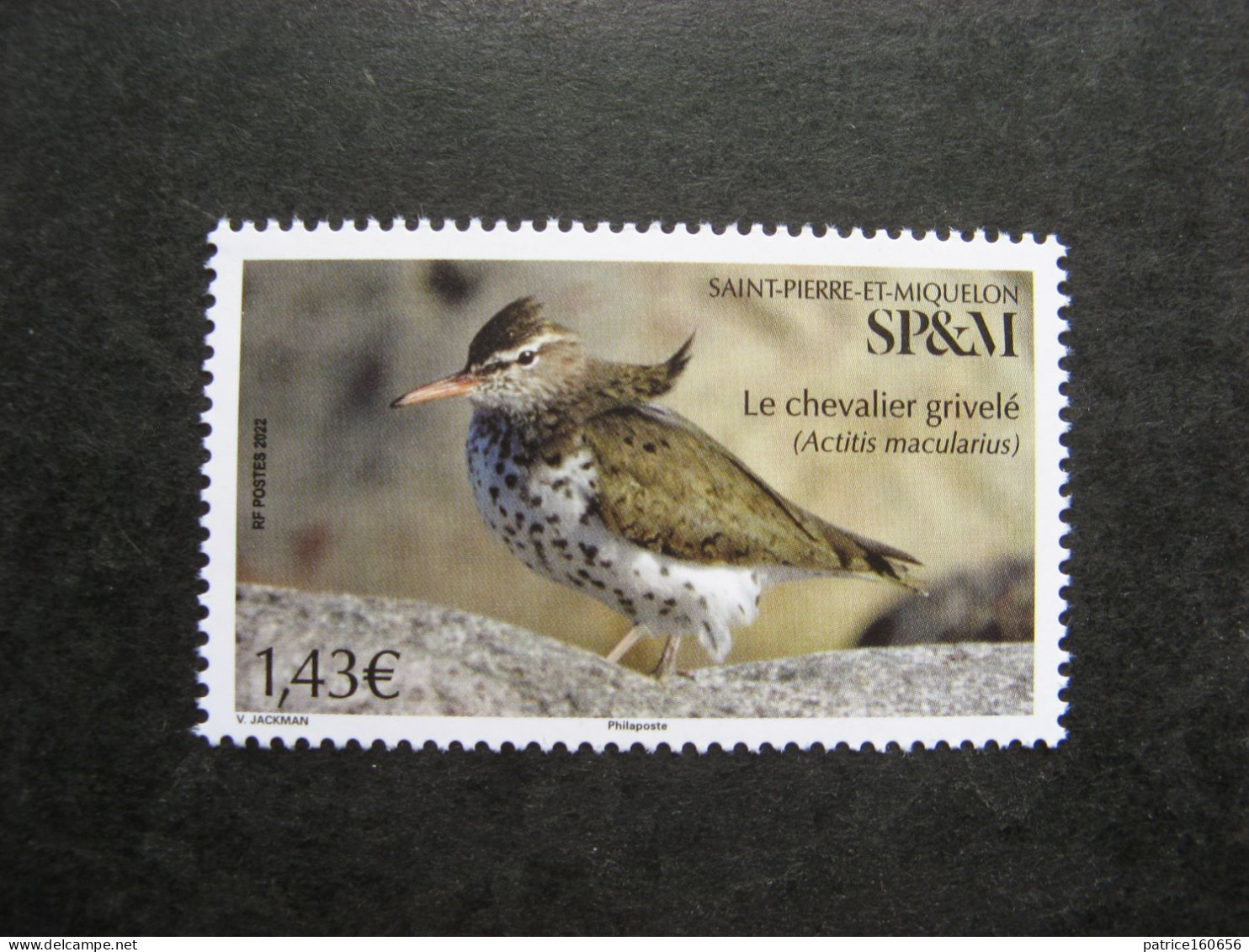 Saint Pierre Et Miquelon: TB N° 1277, Neuf XX. - Unused Stamps