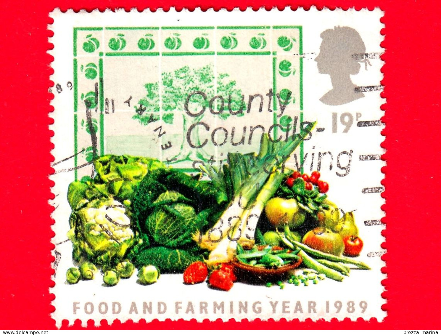 INGHILTERRA - GB - GRAN BRETAGNA - Usato - 1989 - Anno Del Cibo E Dell'agricoltura - Frutta E Verdura - 19 - Gebraucht