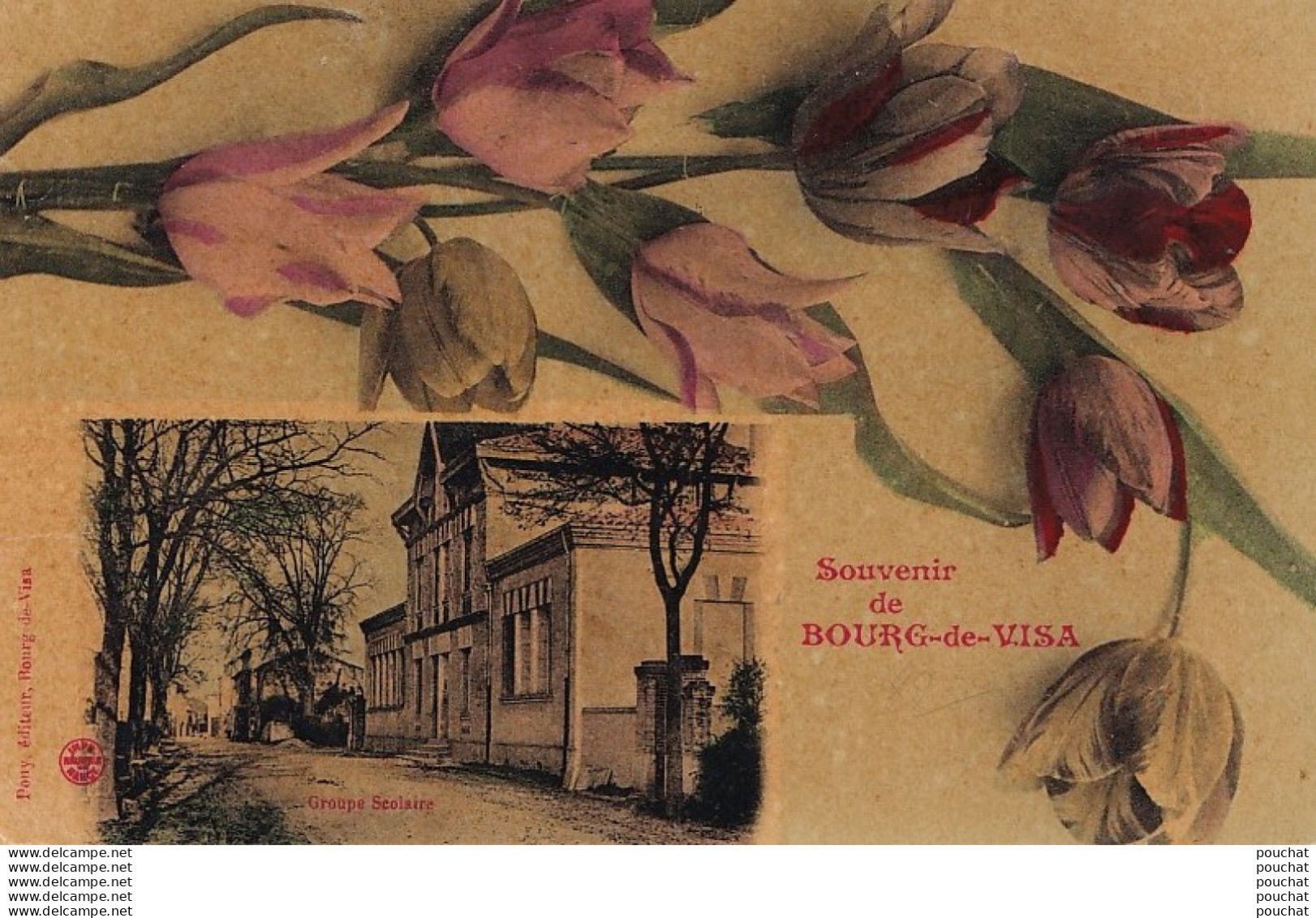 L20-82) BOURG DE VISA - SOUVENIR - GROUPE SCOLAIRE AVEC  FLEURS  TULIPES - ( 2 SCANS ) - Bourg De Visa