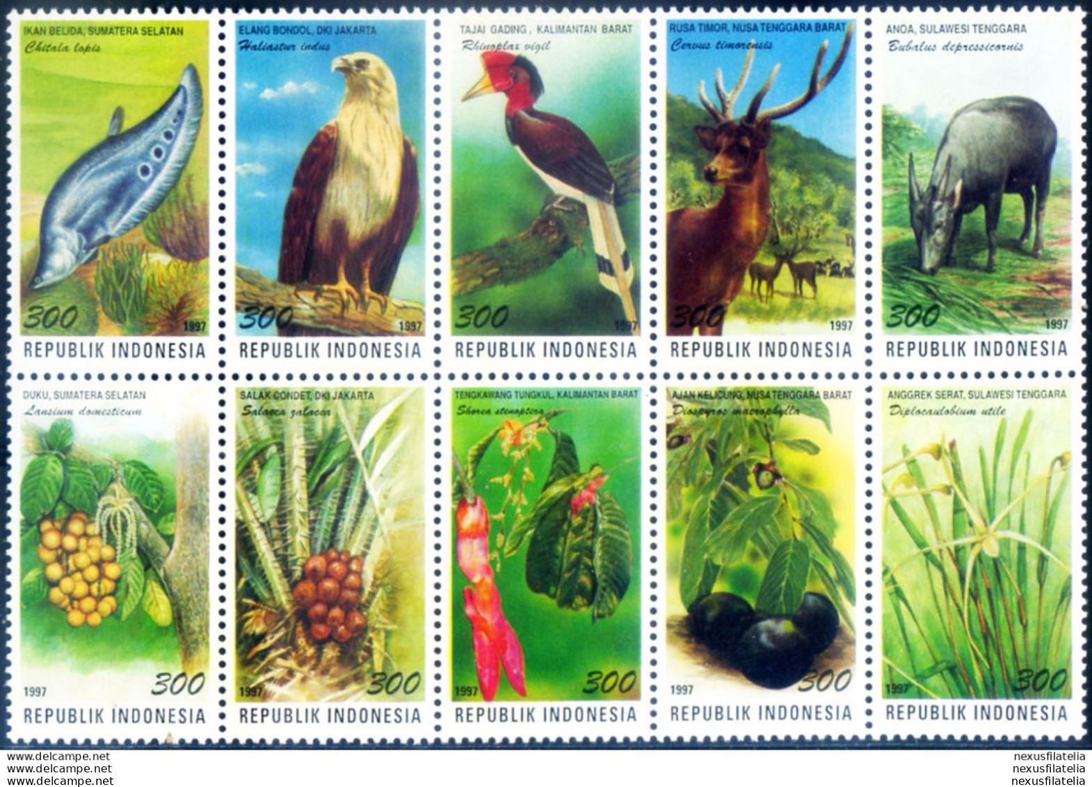 Protezione Della Flora E Della Fauna 1995-1998. - Indonesia