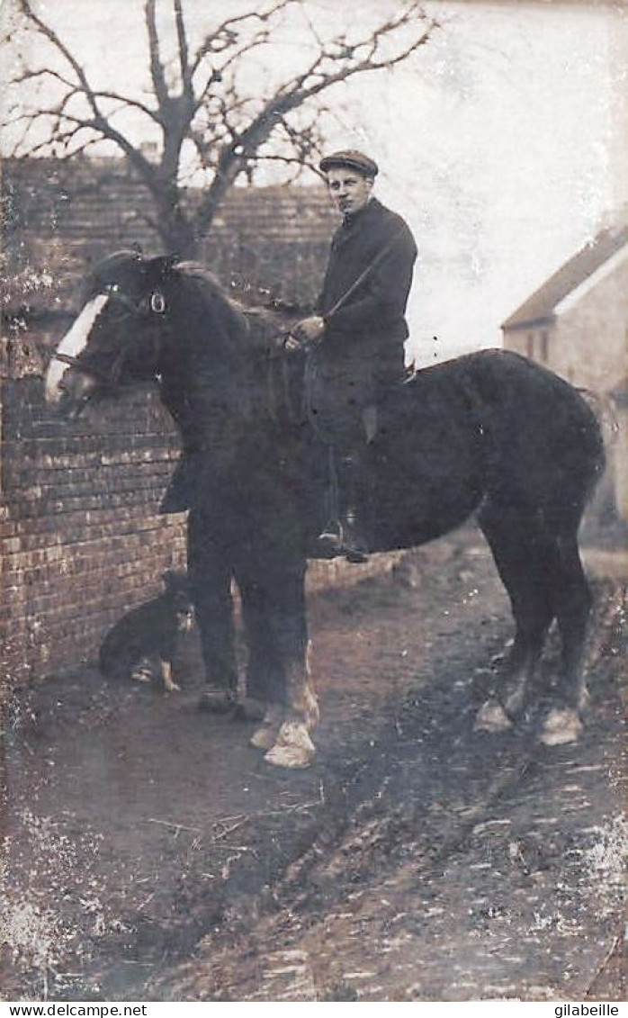 KAPELLEN - CAPPELLEN - Carte Photo - Cavalier Sur Son Cheval Percheron - 1932 - Kapellen